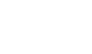 Novosel Nyström logotyp
